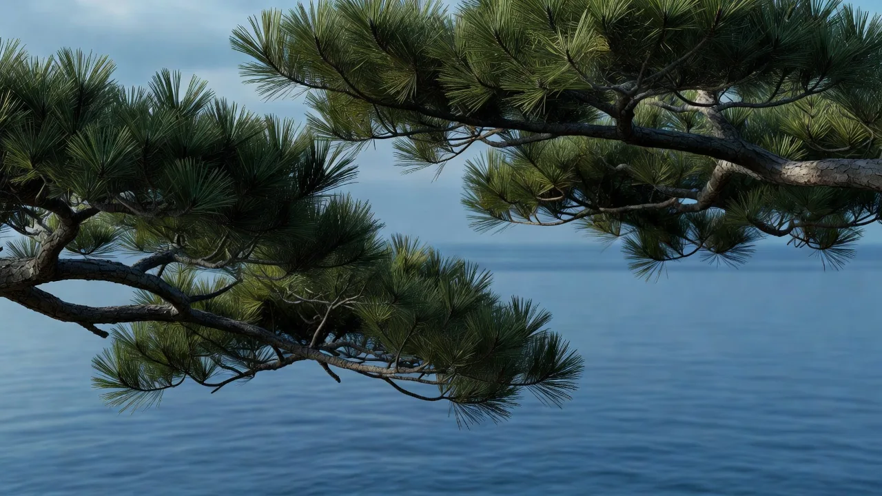 潮風に耐える海岸の松 — Coastal pine shaped by wind and salt air